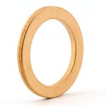 Copper Washer 16,2 x 21,6 x 1,4 mm