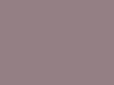 Enamel 72 Fawn brown, spray