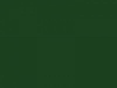 Enamel 142 Dark green spray